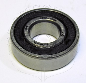 6202