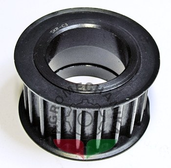 RS17 719