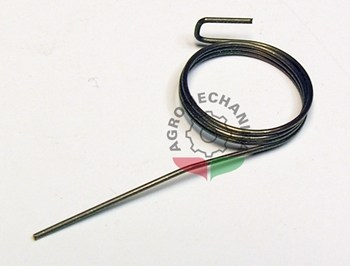 RS176 155