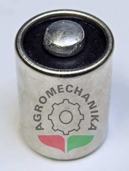 rs10 013
